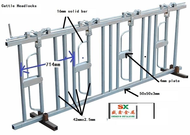 Cattle headlock drawing