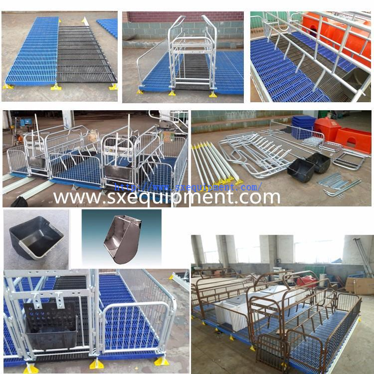 Pig farm Farrowing crate Pig farm Farrowing crate
