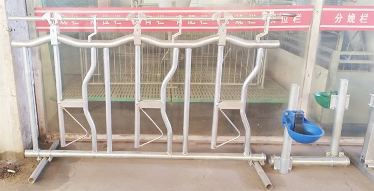 Cattle Head Stanchion
