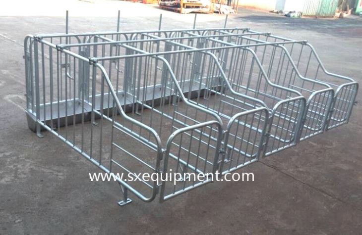 Pig Farming Equipment Swine Gestation Stall