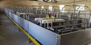 Pig Farm Farrowing Crate Construction Use Floor